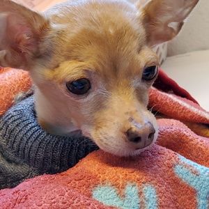 Meet your Posher, Sue